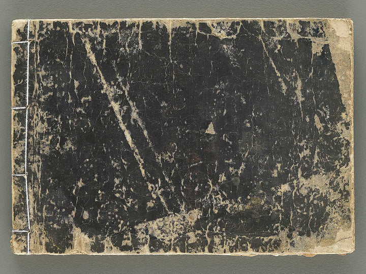 Kodai moyo shikizu ko (Ge) by Kano Motonobu, Katsushika Hokusai, Ogata Korin, Sakai Hoitsu, etc. / BJ354-165