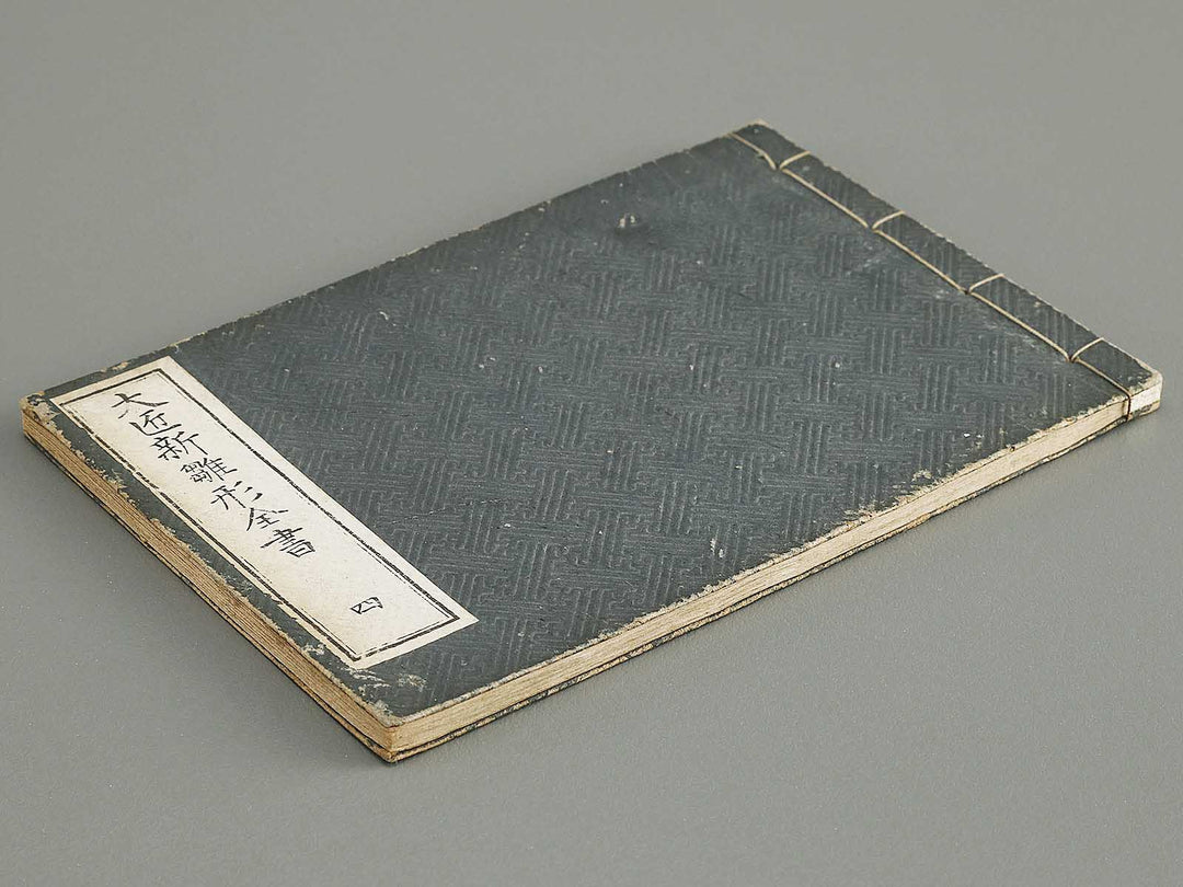 Taisho shin hinagata zensho Volume 4 by Izumi Kojiro / BJ338-016