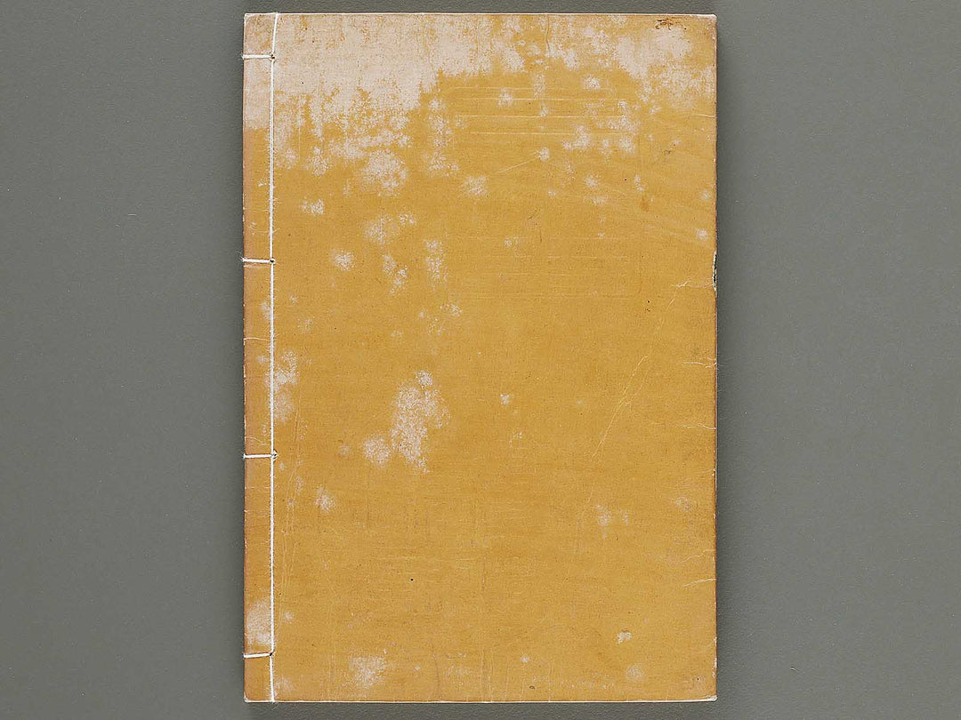 Nanso satomi hakkenden Part 9, Book 13-15 / BJ317-947