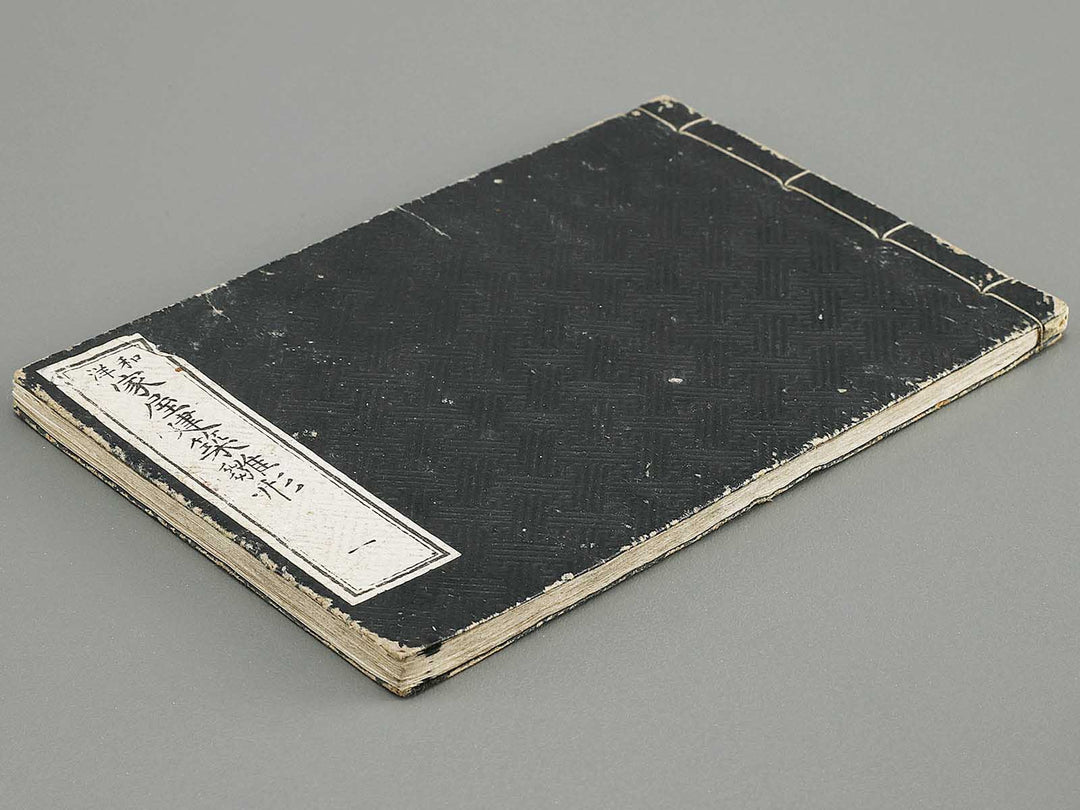 Wayo kaoku kentiku hinagata Volume 1 / BJ331-597