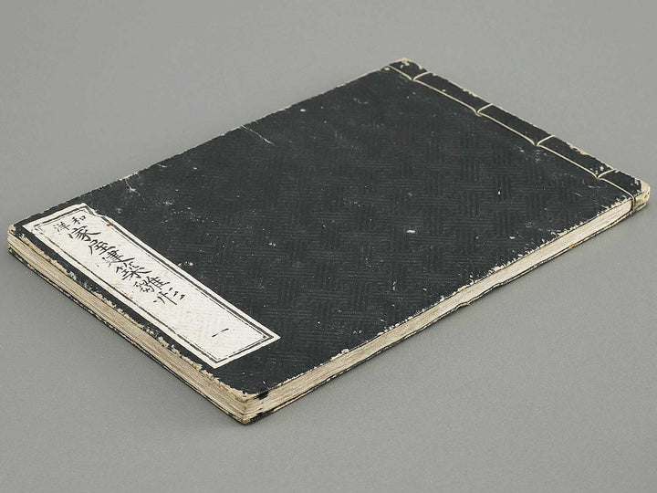 Wayo kaoku kentiku hinagata Volume 1 / BJ331-597