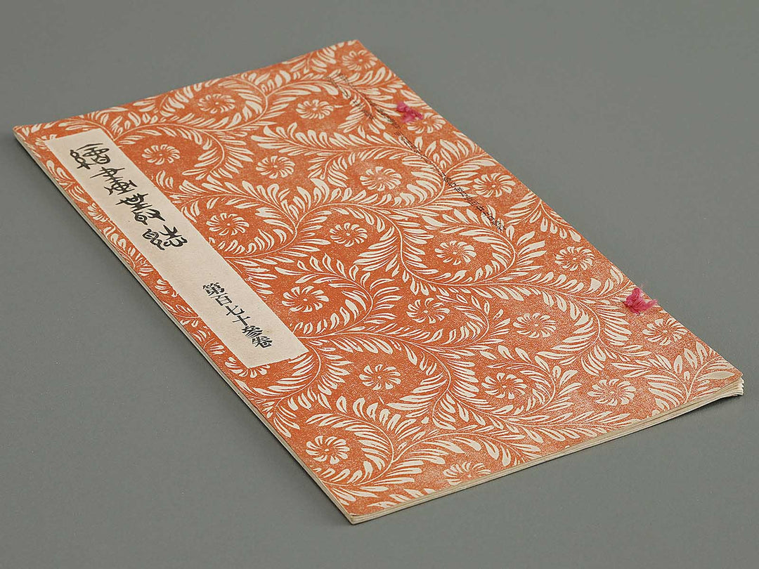 Kaiga soshi  Volume 173 / BJ317-282