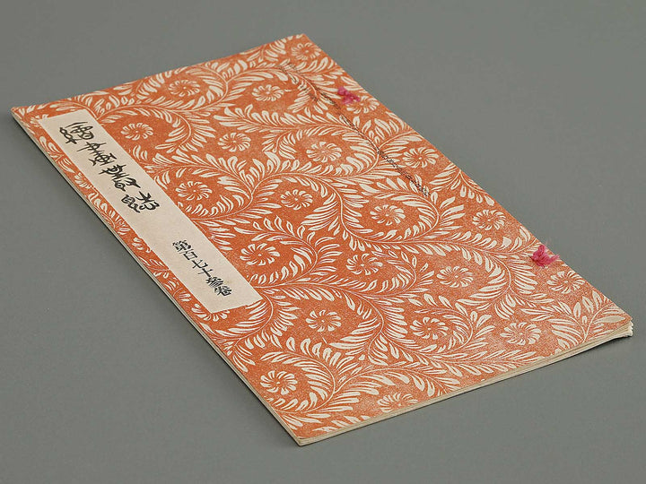 Kaiga soshi  Volume 173 / BJ317-282