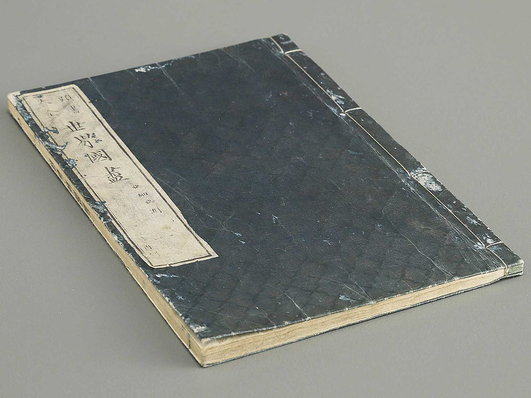 Tosho taizen sekai kuni dukushi Volume 1 / BJ348-124