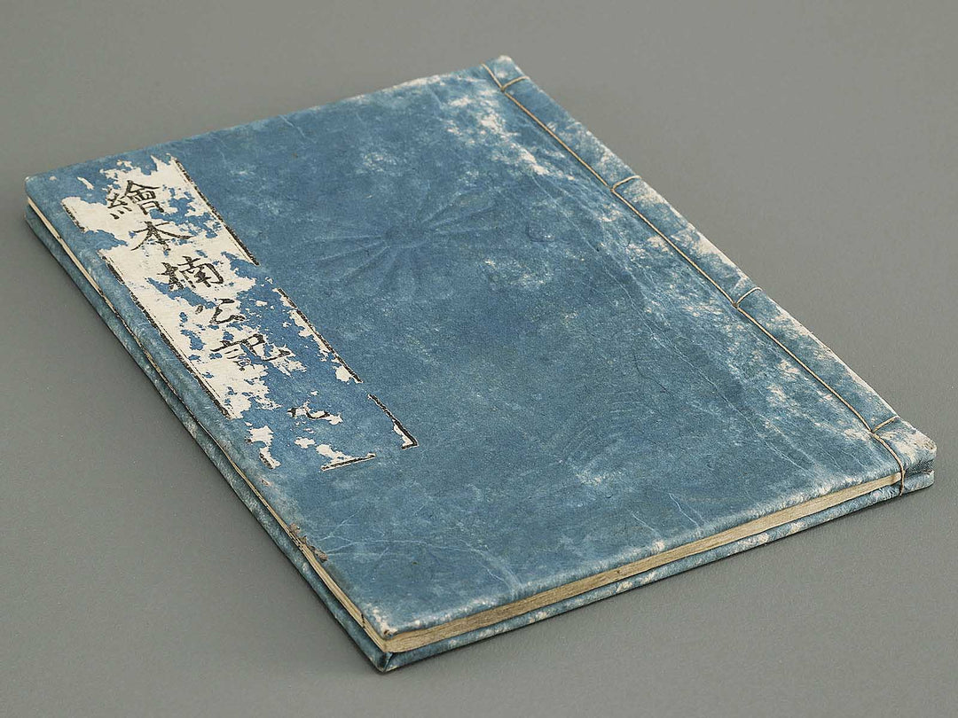 Ehon nankoki Volume 9 by Hayami Shungyosai / BJ335-482