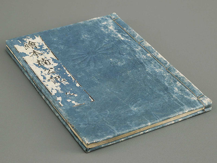 Ehon nankoki Volume 9 by Hayami Shungyosai / BJ335-482