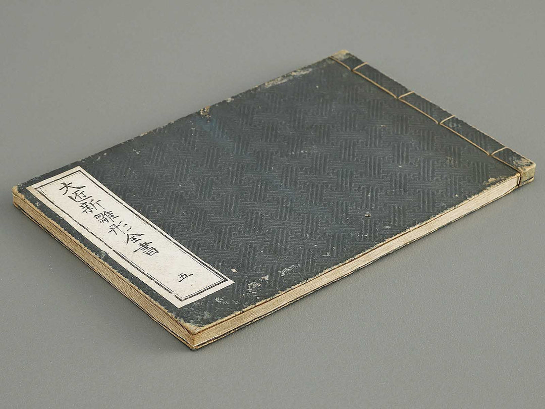 Taisho shin hinagata zensho Vol.5 / BJ338-023