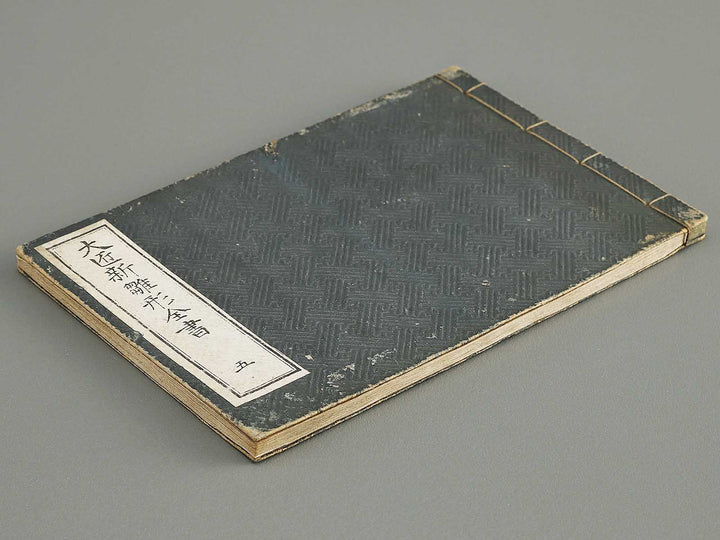 Taisho shin hinagata zensho Vol.5 / BJ338-023