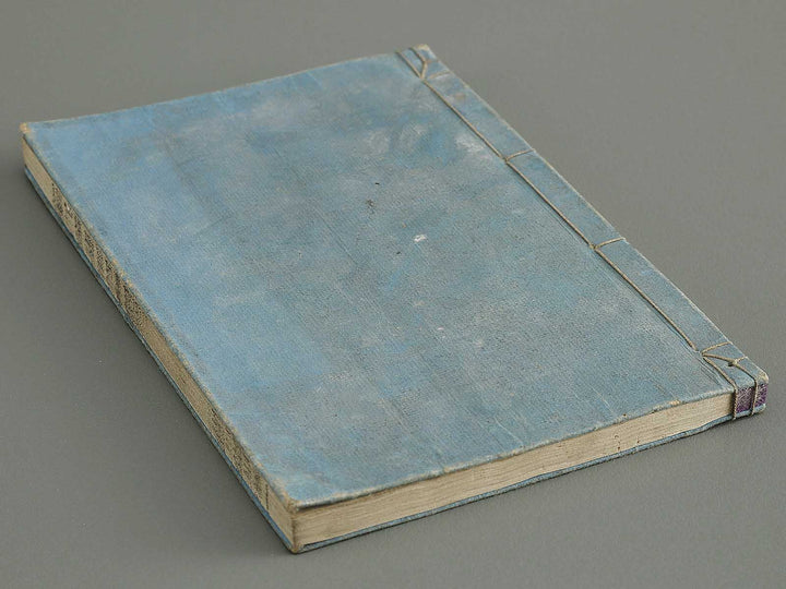 Shoryu hiden ikebana dokushu jizai Volume 2 / BJ332-745