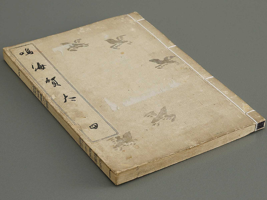 Narumikata Volume 4 by Odagiri Shunko / BJ322-532