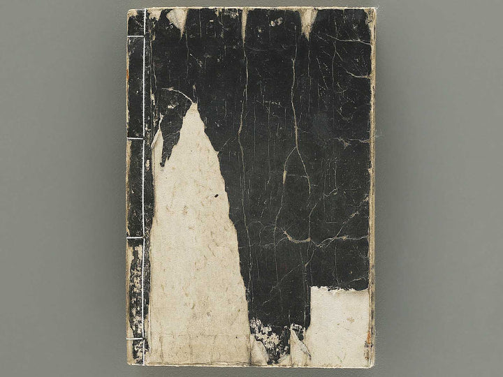 Tokyo bunsho taizen (Jo) by Kawanabe Kyosai / BJ353-829