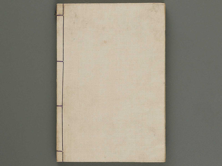 Nanso satomi hakkenden Volume 8, (Jo) / BJ316-302