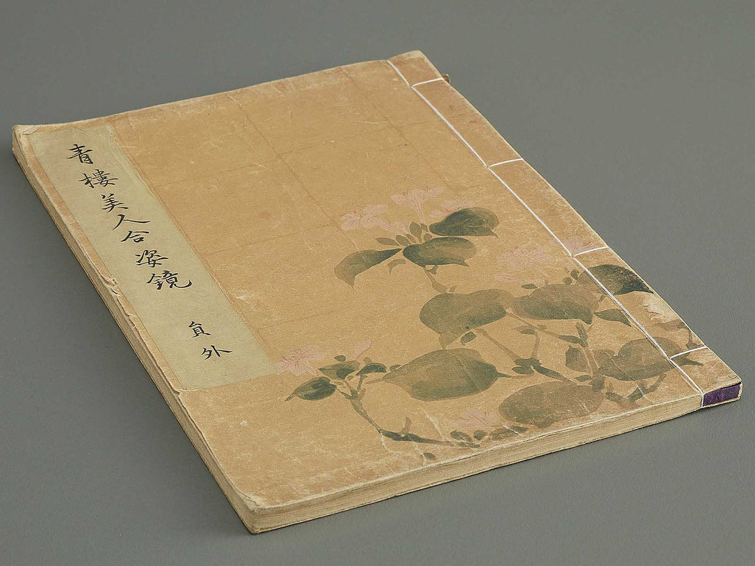 Seiro bijin awase sugata kagami (Ingai) by Kitao Shigemasa / BJ344-694