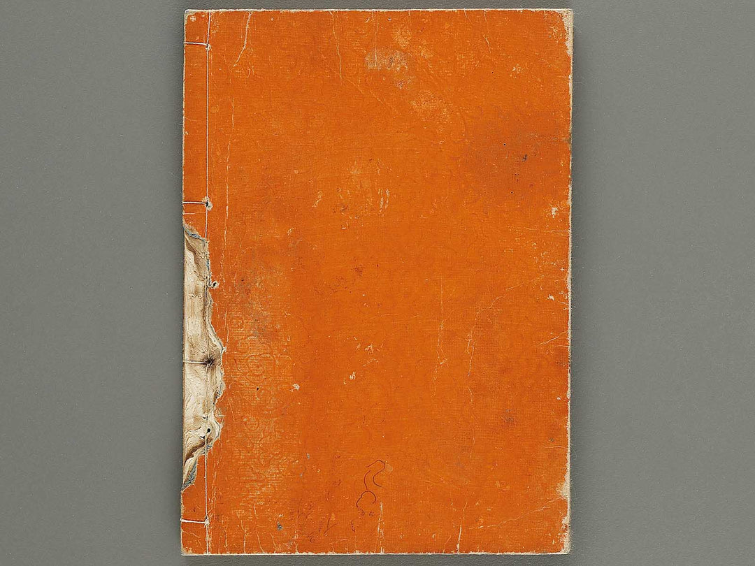 Shaka goichidaiki zue Volume 2 by Katsushika Hokusai / BJ320-320