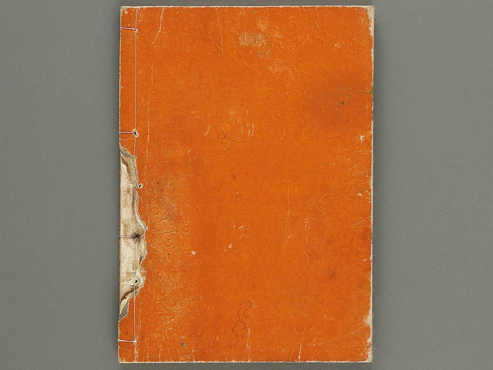 Shaka goichidaiki zue Volume 2 by Katsushika Hokusai / BJ320-320