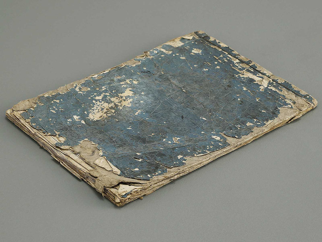 Ranma hinagata (Ge) / BJ336-056