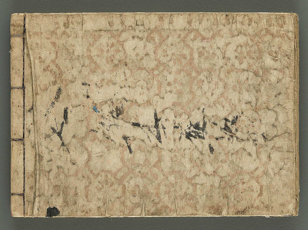 Biko zukan by Hasegawa Keika / BJ345-849
