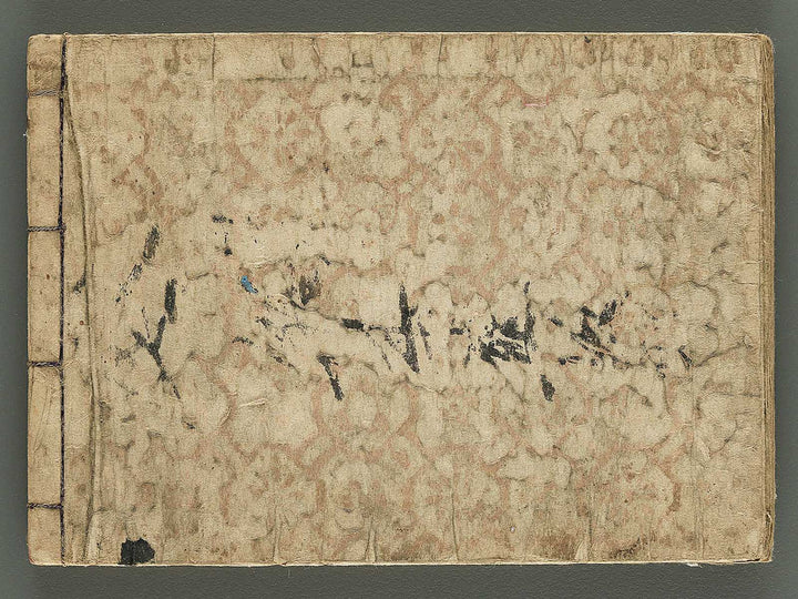 Biko zukan by Hasegawa Keika / BJ345-849