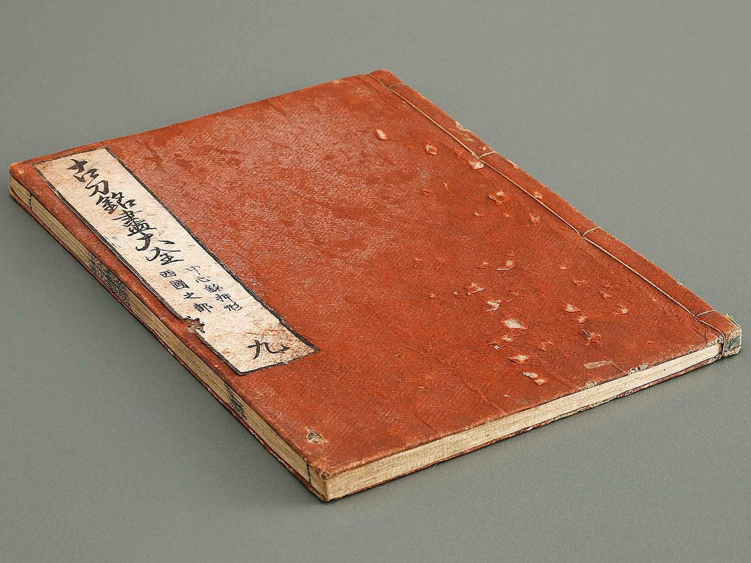 Koto meizin taizen Volume 9 / BJ326-081