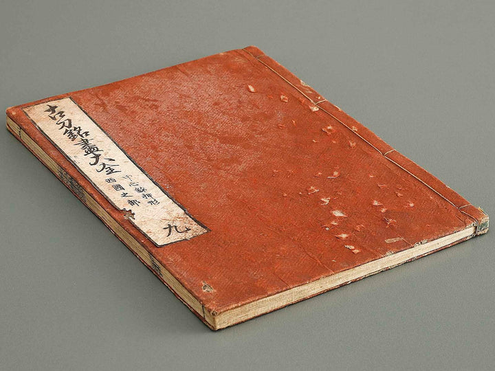 Koto meizin taizen Volume 9 / BJ326-081