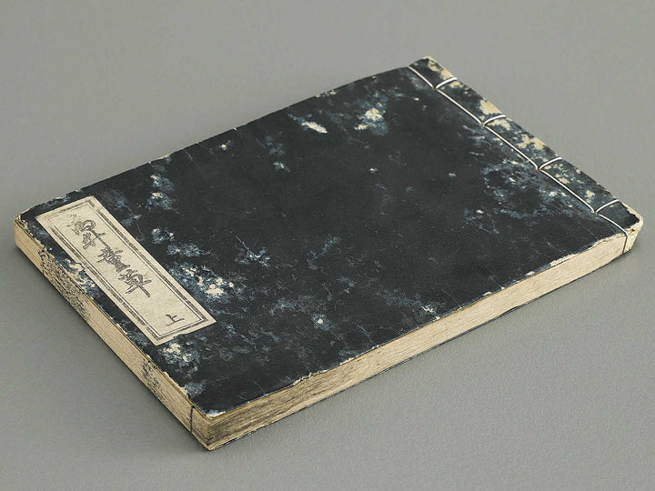 Iitogusa (Jo) / BJ343-224