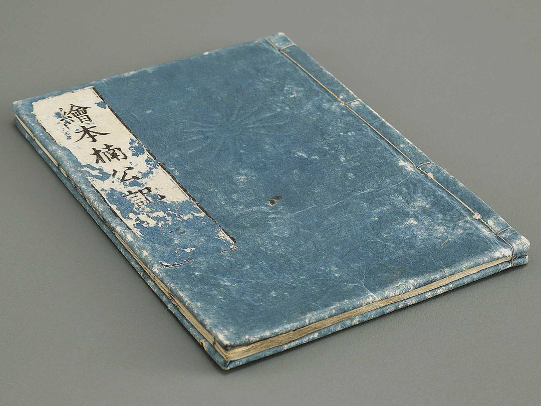 Ehon nankoki Volume 7 by Hayami Shungyosai / BJ335-461