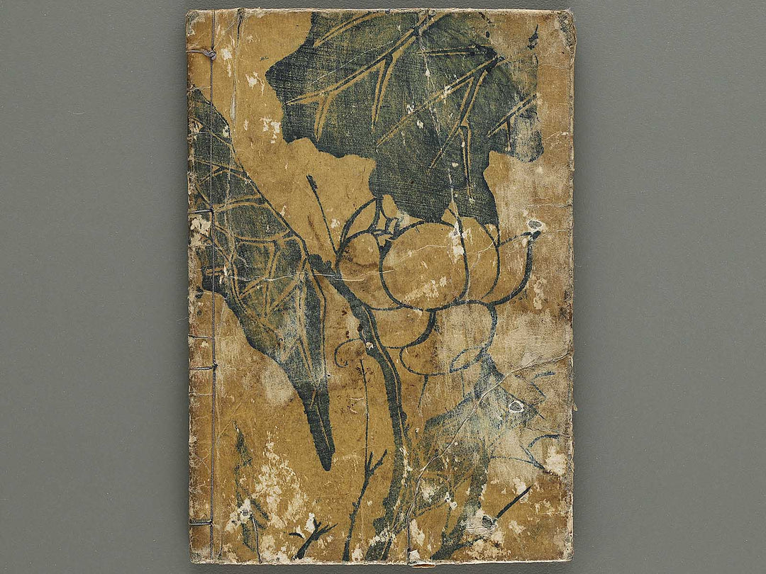 Ehon saiyuki Part 3, Book 5 by Katsushika Taito / BJ334-859
