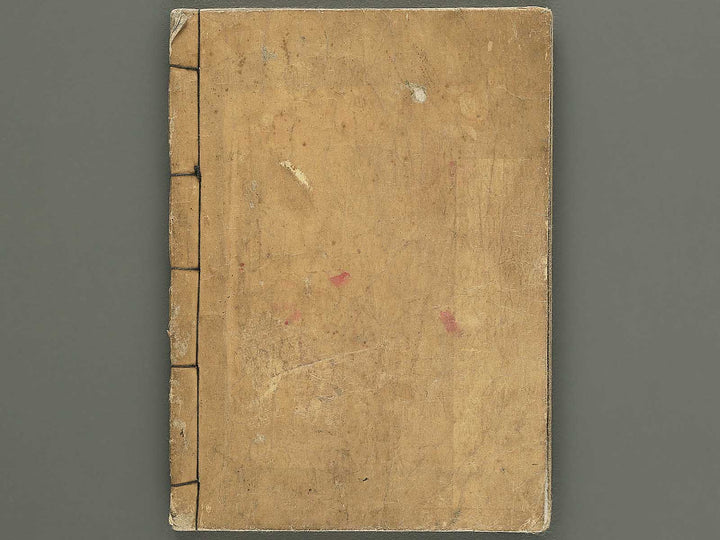Shunga / BJ350-532