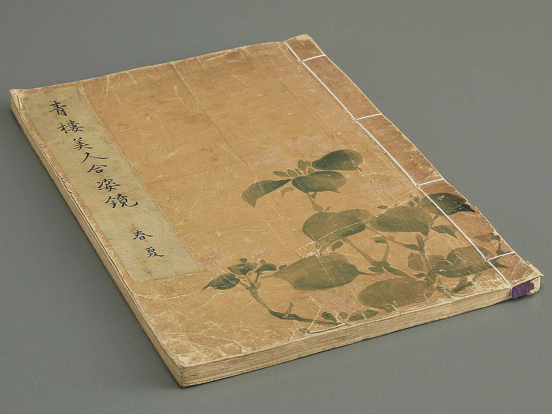 Seiro bijin awase sugata kagami Haru natsu by Kitao Shigemasa / BJ344-687
