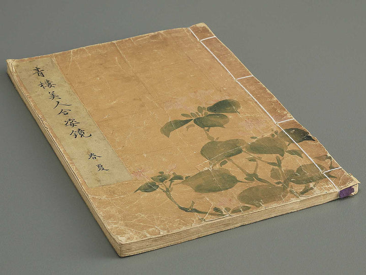 Seiro bijin awase sugata kagami Haru natsu by Kitao Shigemasa / BJ344-687