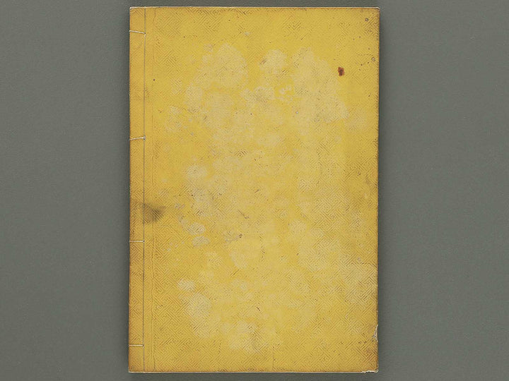 Hakubutsu Shinpen Volume 2 / BJ353-542