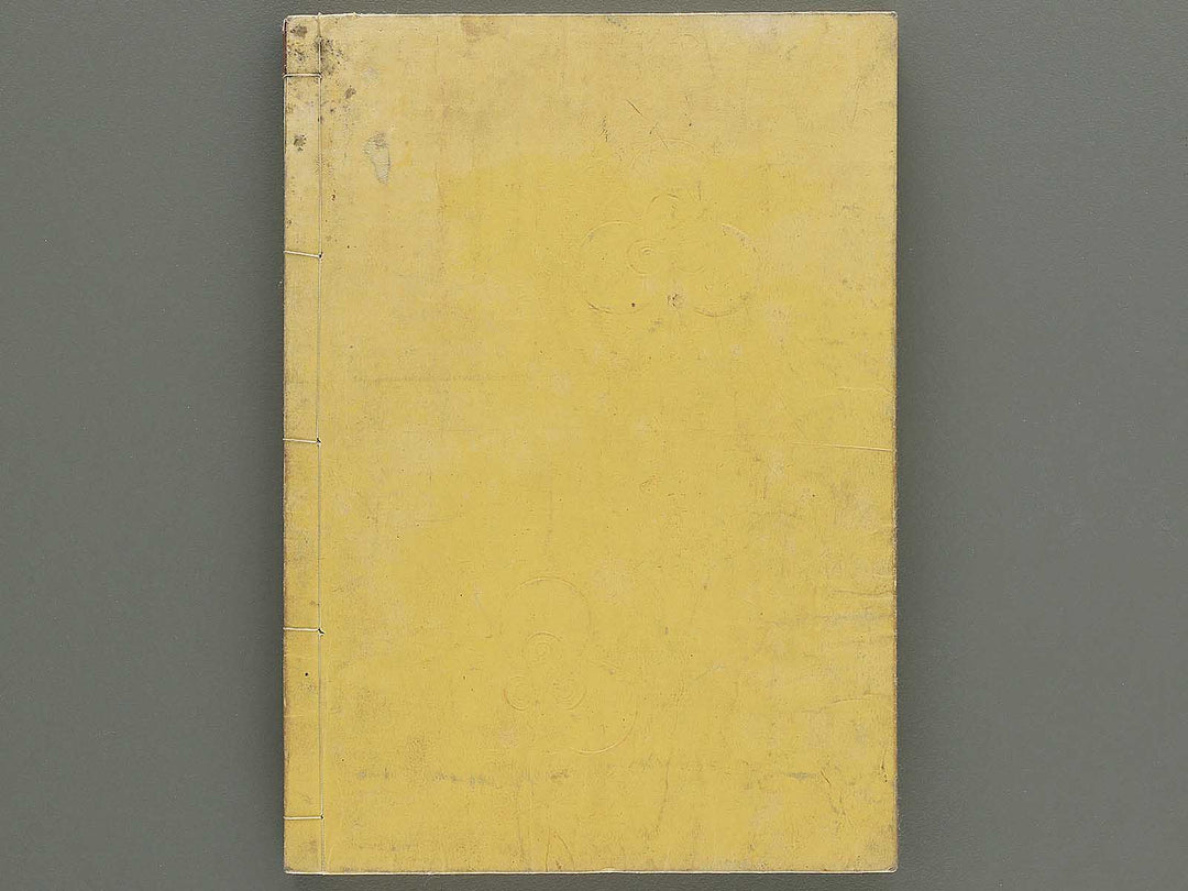 Itsukushima zue (Homotsu no bu) by Yamano Shunbosai / BJ345-240