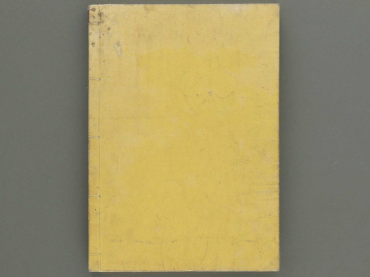 Itsukushima zue (Homotsu no bu) by Yamano Shunbosai / BJ345-240