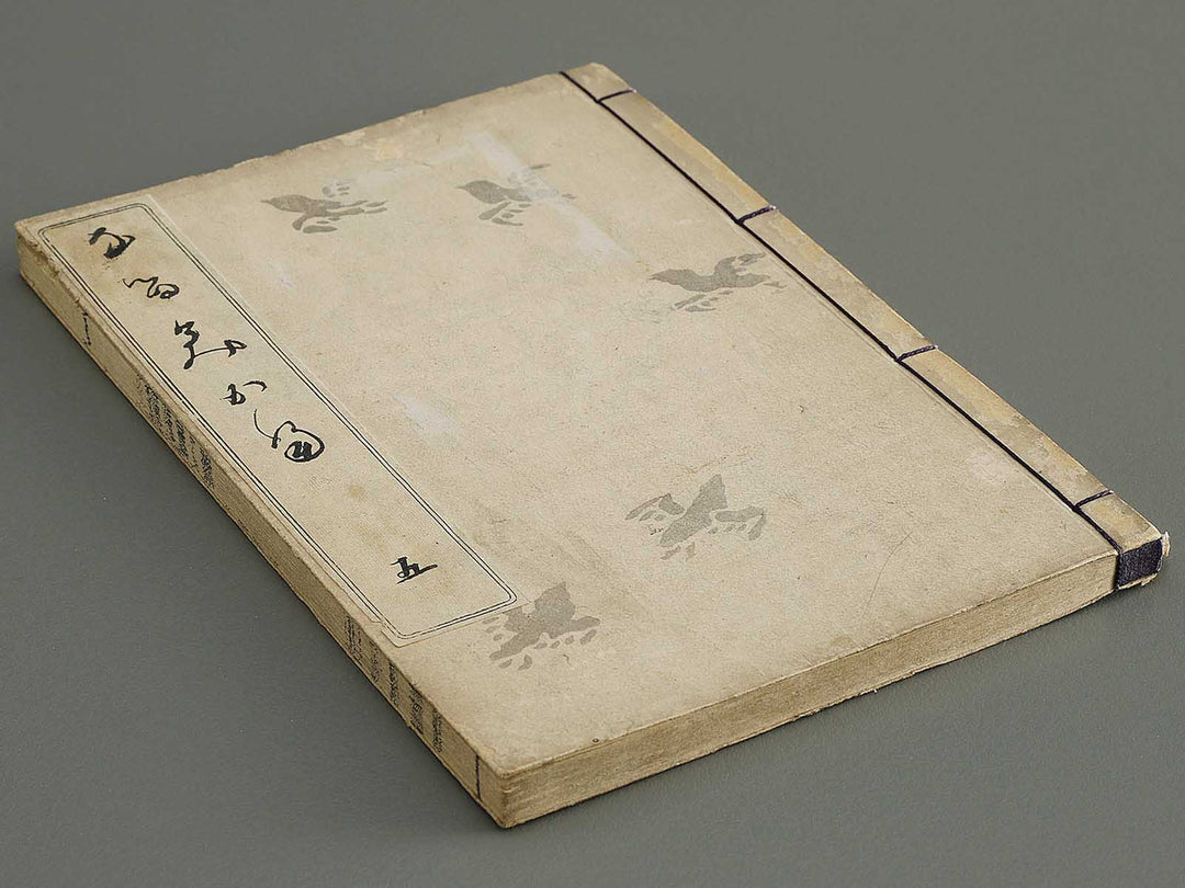 Narumikata Volume 5 by Odagiri Shunko / BJ322-546