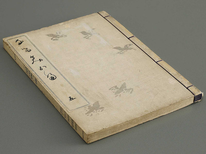 Narumikata Volume 5 by Odagiri Shunko / BJ322-546