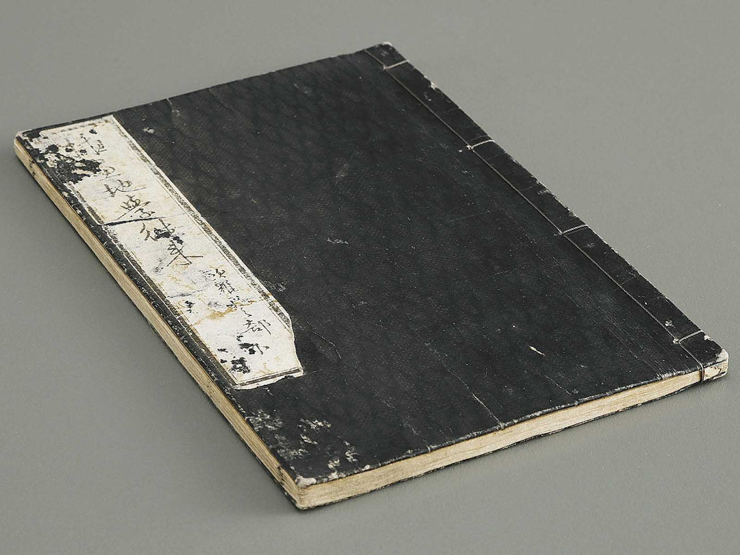 Soga Chigaku orai (yoroppashu no bu, ge) by Hashimoto Gyokuransai / BJ330-715