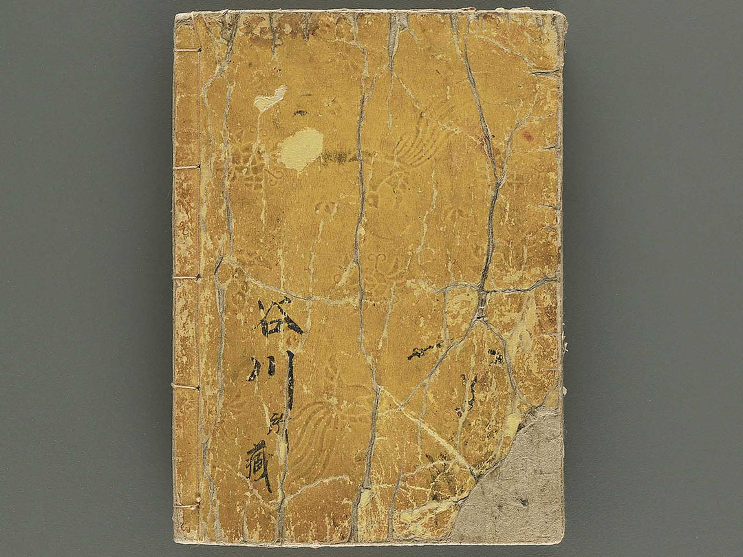 Shinsen dainihon eitai setsuyo mujinzo by Matsukawa Hanzan / BJ343-245