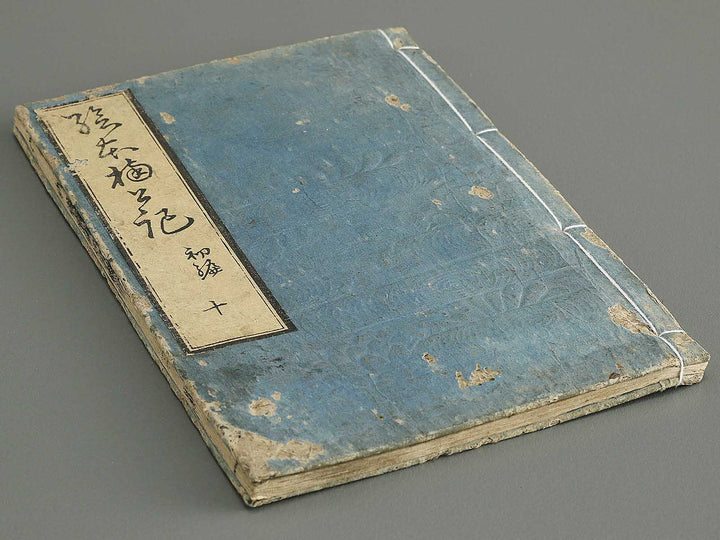 Ehon nankoki Part 1, Book 10 by Hayami Shungyosai / BJ343-126
