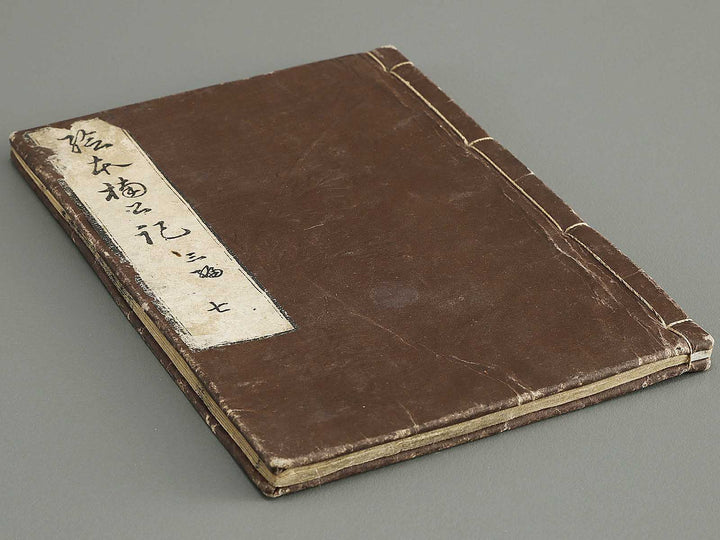 Ehon nankoki Part 3, Book 7 by Hayami Shungyosai / BJ336-735