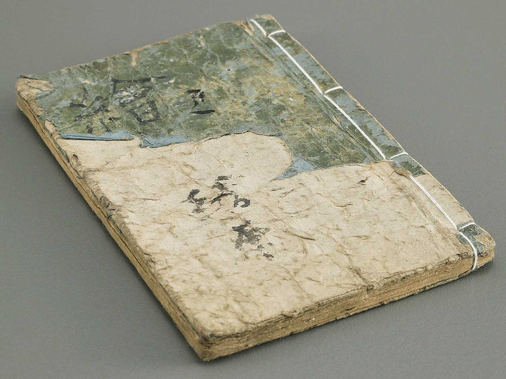 Yanagawa gafu (Kacho bu) by Yanagawa Shigenobu / BJ348-964