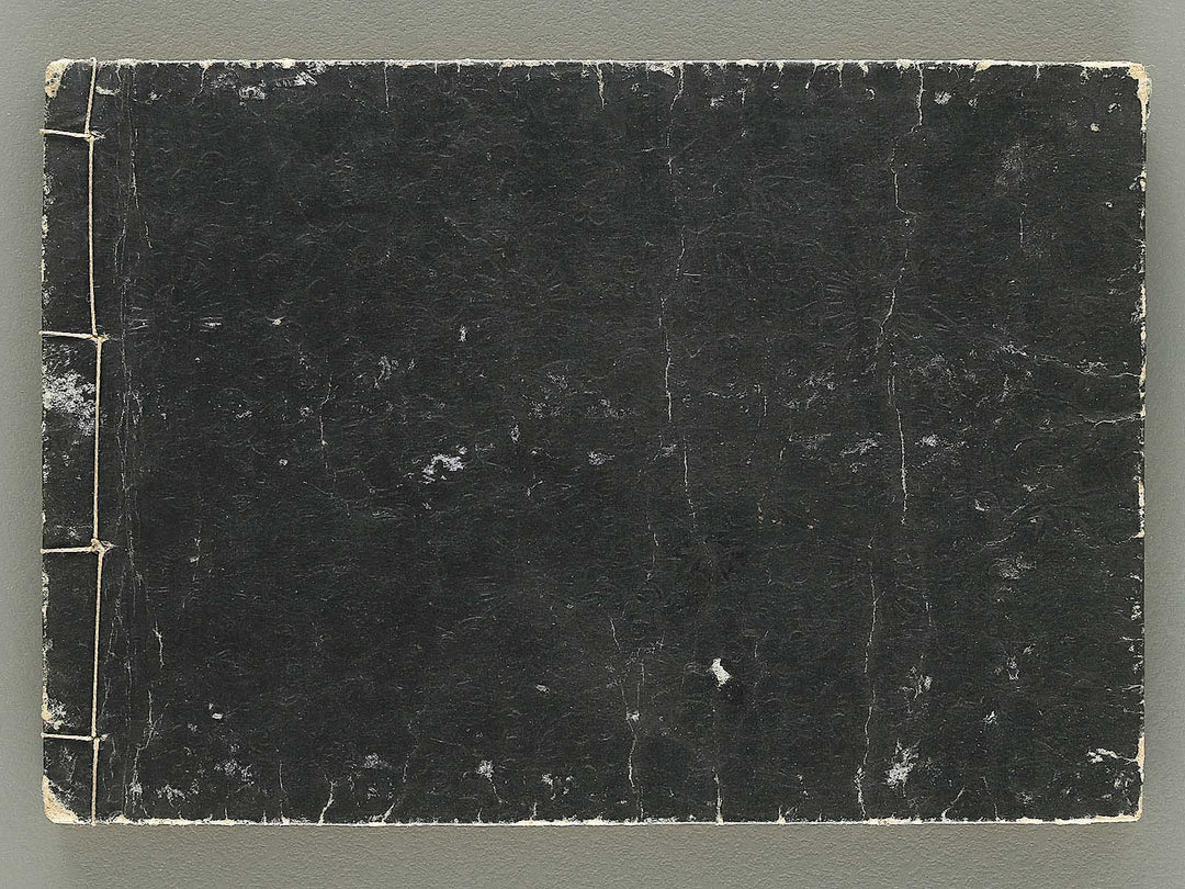 Kodai moyo shikizu ko (Chu) by Kano Motonobu, Katsushika Hokusai, Ogata Korin, Sakai Hoitsu, etc. / BJ354-158