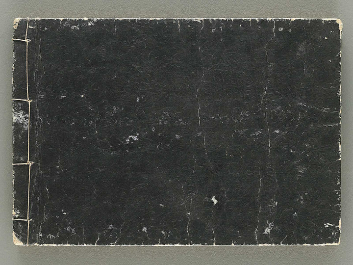 Kodai moyo shikizu ko (Chu) by Kano Motonobu, Katsushika Hokusai, Ogata Korin, Sakai Hoitsu, etc. / BJ354-158
