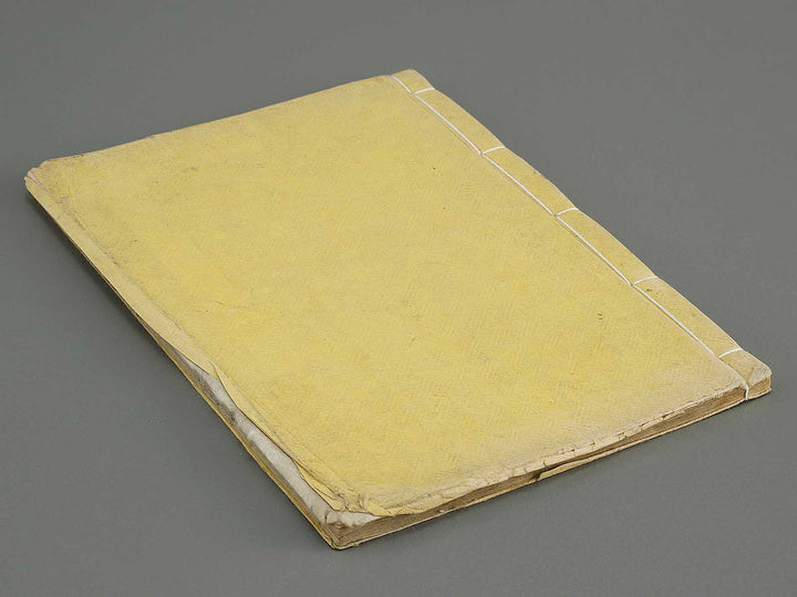 Hakubutsu Shinpen Volume 3 / BJ330-869