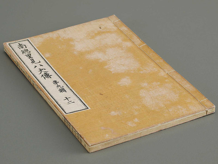 Nanso satomi hakkenden Part 9, Book 12 by Yanagawa Shigenobu / BJ320-362