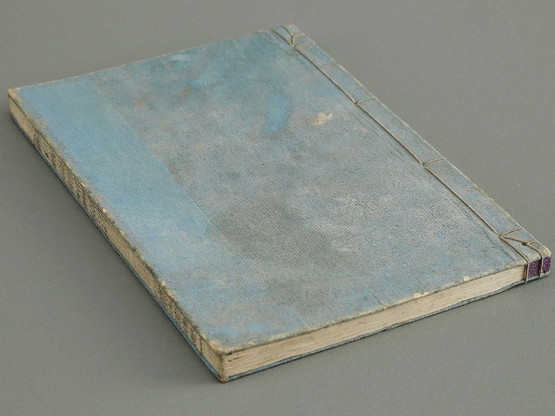 Shoryu hiden ikebana dokushu jizai Volume 4 / BJ332-759