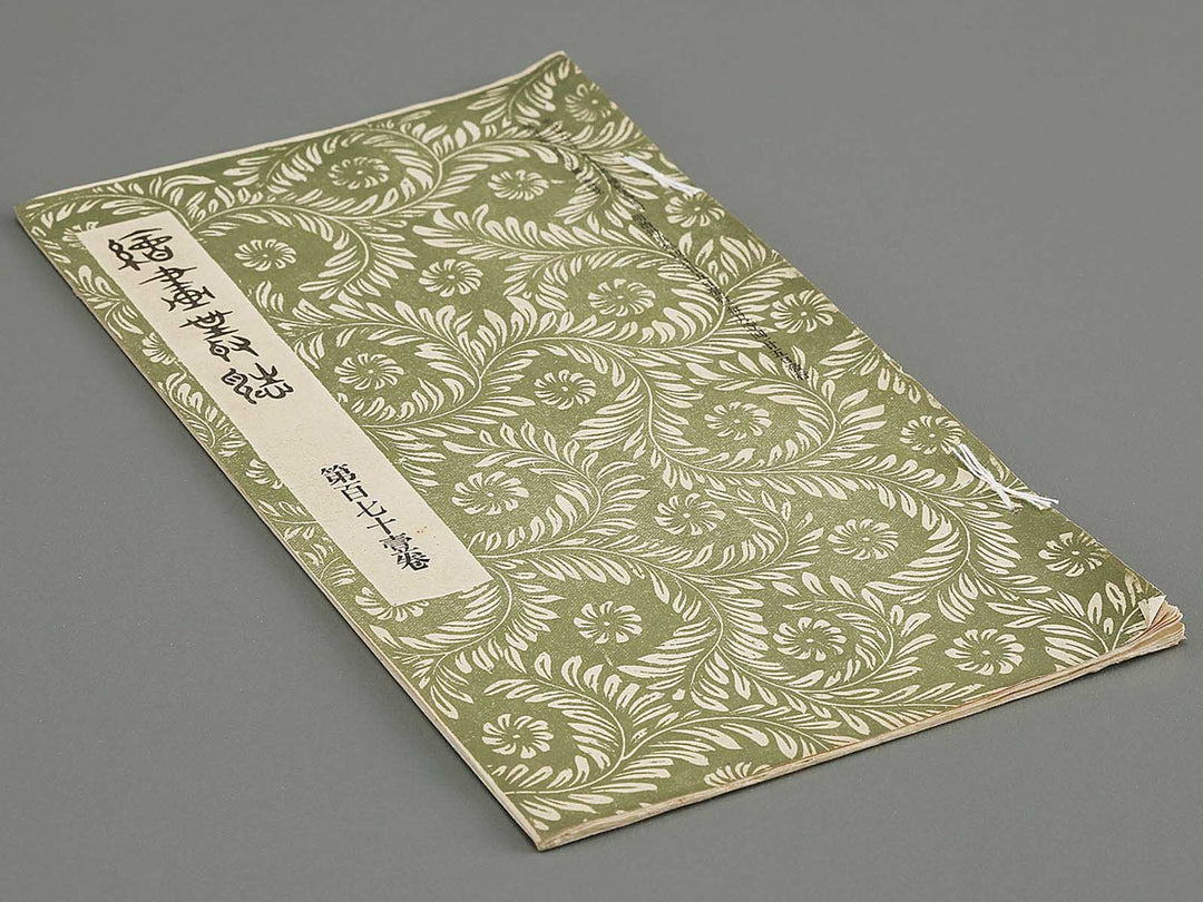 Kaiga soshi Volume 171 / BJ317-373