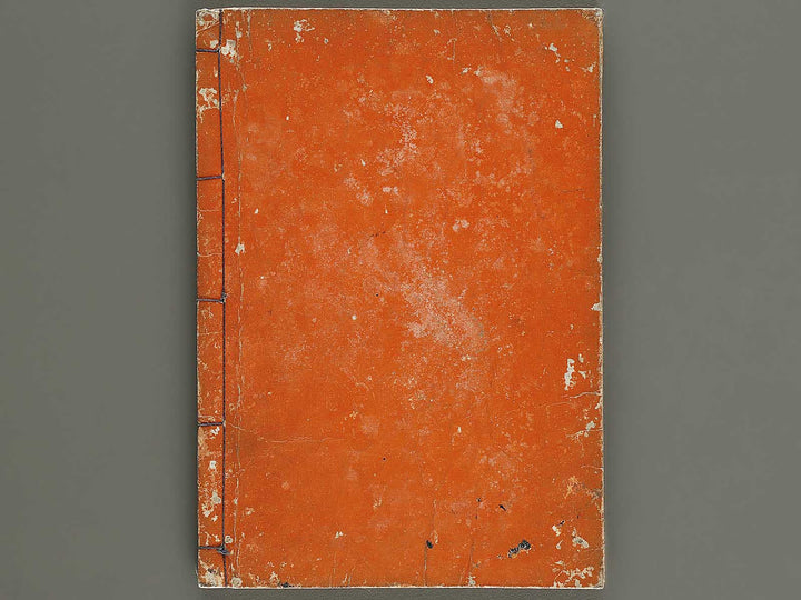 Shaka goichidaiki zue Volume 5 by Katsushika Hokusai / BJ327-859