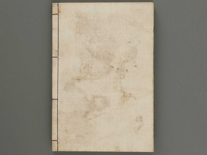 Nanso satomi hakkenden Volume 3 by Yanagawa Shigenobu / BJ316-274