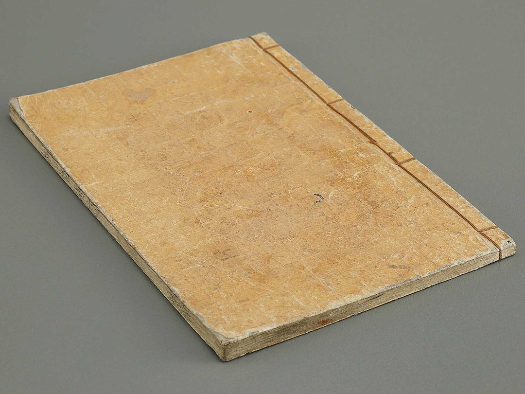 Soka koromonoka Volume 4 by Hishikawa Sori / BJ335-188