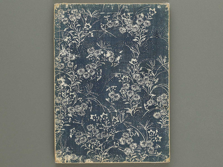 Nihon joso (Chu), Book 4 by Nishikawa Sukenobu / BJ325-633